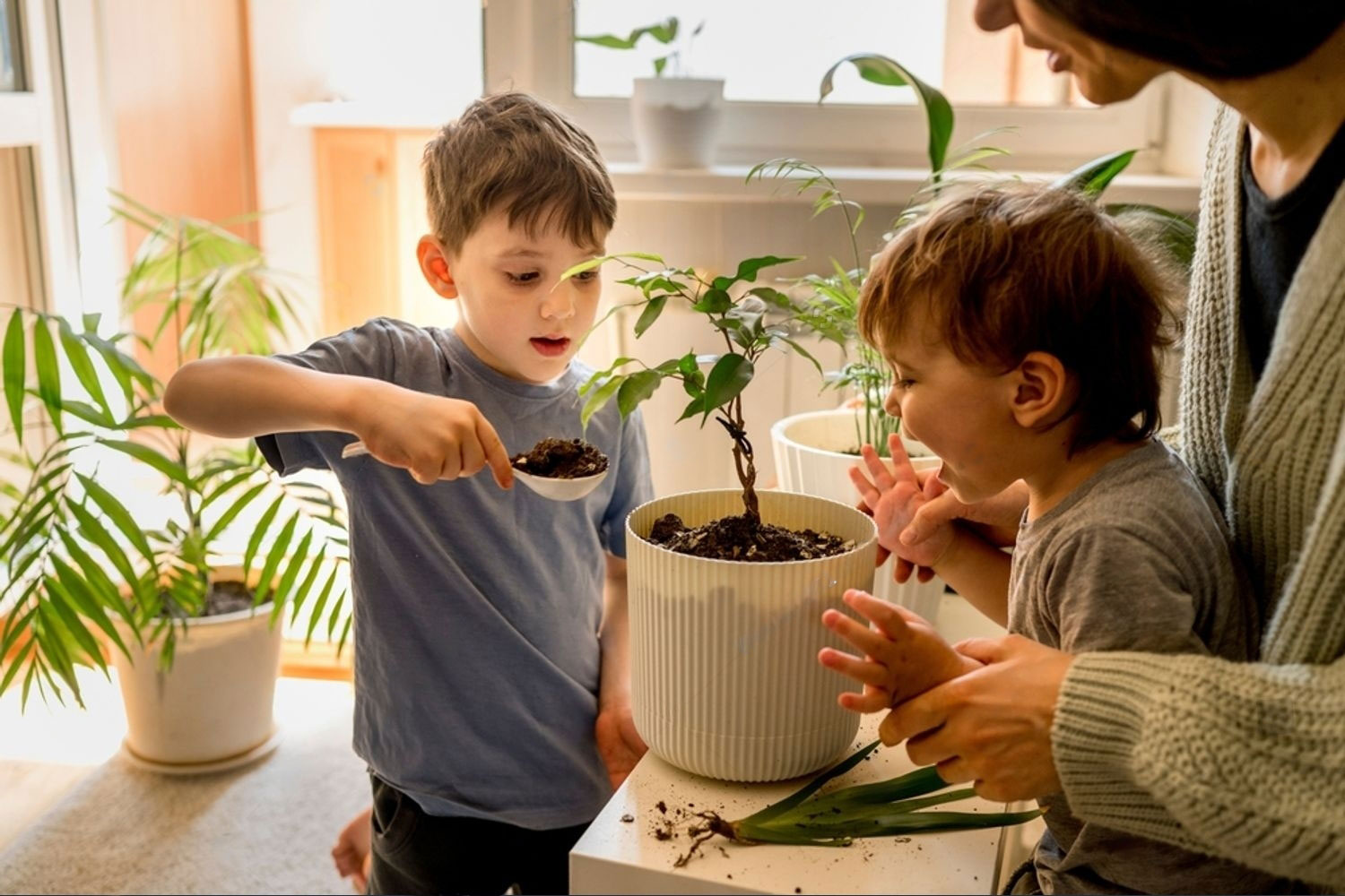 Nutrire le Piante in Modo Naturale ed Ecosostenibile: Consigli e Strategie per una Coltivazione Rigenerativa